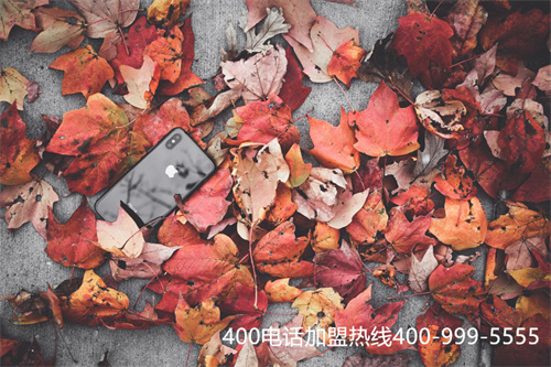 (怎么看400電話套餐)(全國400電話資費(fèi)套餐)
