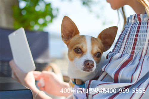 (怎樣使用400電話)(企業(yè)怎樣申請(qǐng)400電話)