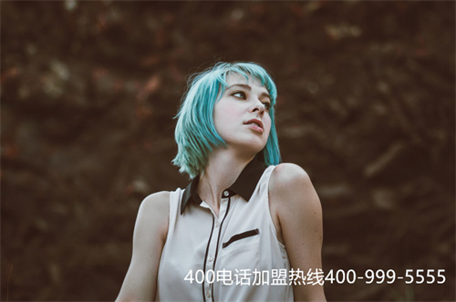 (申請400電話收費(fèi)標(biāo)準(zhǔn))(阜陽400電話多少錢)