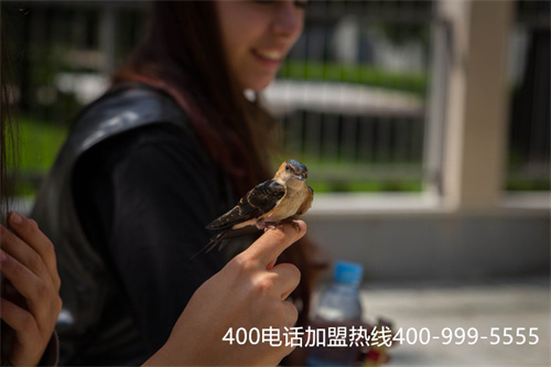 (如何辦理400電話怎么樣)(如何更快更省錢的辦理400電話申請？)